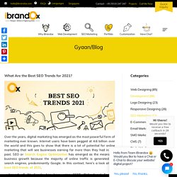 Best SEO Trends for 2021 to Drive More Traffic - iBrandox™
