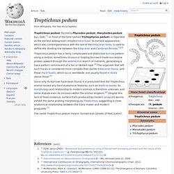 Treptichnus pedum