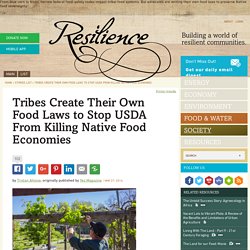 Tribes Create Their Own Food Laws to Stop USDA From Killing Native Food Economies