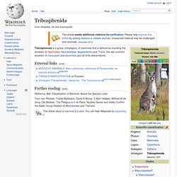Tribosphenida