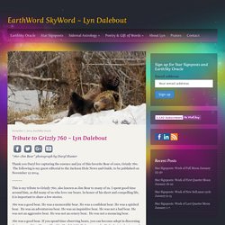 Tribute to Grizzly 760 ~ Lyn Dalebout - EarthWord SkyWord ~ Lyn Dalebout