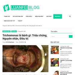 Trichomonas là bệnh gì: Triệu chứng, Nguyên nhân, Điều trị