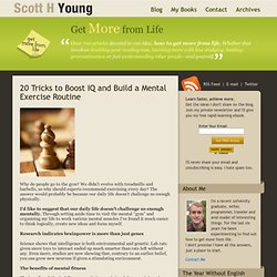 Scott H Young » 20 Tricks to Boost IQ and Build a Mental Exercise Routine
