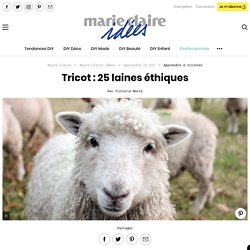 25 laines éthiques