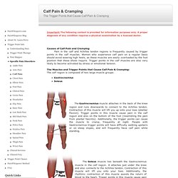 Trigger Points that cause Calf Pain and Calf Cramping: Dr. Laura Perry, painwhisperer.com