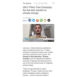UN's Trillion Tree Campaign, the low-tech solution to climate change - CGTN