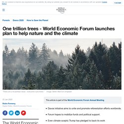 One trillion trees - uniting the world to save forests and climate