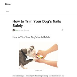 How to Trim Your Dog’s Nails Safely