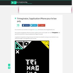 Trimaginator, l'application iPhone pour le low poly