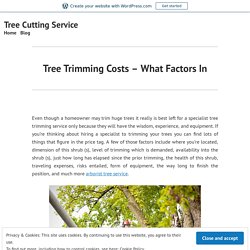 Tree Trimming Costs – What Factors In – Tree Cutting Service