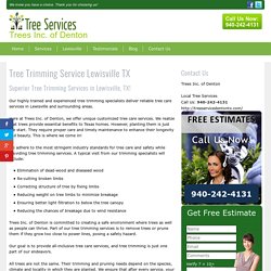 Tree Trimming Service Lewisville TX – Trees Inc of Denton