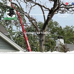 Tree Trimming Services Around St Louis, and Kirkwood, MO