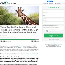 These Gentle Giants Are Killed and Turned Into Trinkets for the Rich. Sign to Ban the Sale of Giraffe Products.