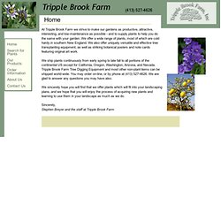 Tripple Brook Farm Plant Nursery