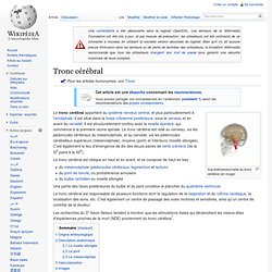 Tronc cérébral