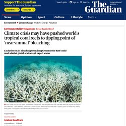 Climate crisis may have pushed world's tropical coral reefs to tipping point of 'near-annual' bleaching