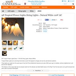 100 Candles - 9Ft Tropical Flower Lights Decor- 110V AC String Lights- Natural White