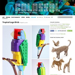 Tropical Lego Birds