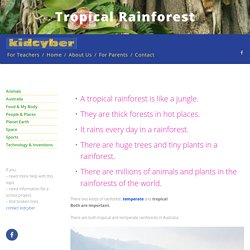 Tropical Rainforest — kidcyber