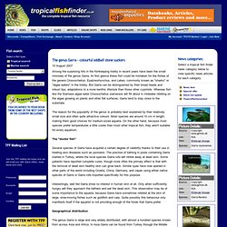 Tropical Fish Finder.co.uk - The ultimate UK fish keeping resource for all types of tropical and marine fish, including fish books, articles, fish shops, fish clubs and more.