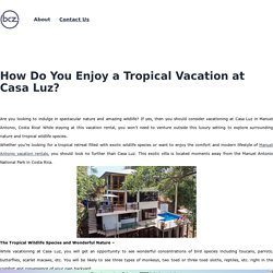 How Do You Enjoy a Tropical Vacation at Casa Luz? – Freelancer / Agency