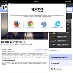 splash.abc.net