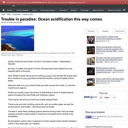 Trouble in paradise: Ocean acidification this way comes