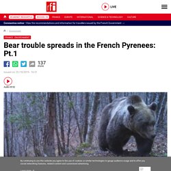 Bear trouble spreads in the French Pyrenees: Pt.1