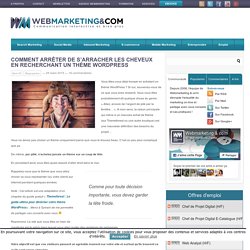 Trouvez un bon thème WordPress avec cette méthode