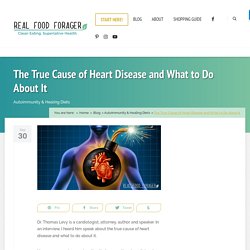 The True Cause of Heart Disease and What to Do About It