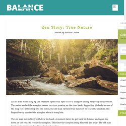 True Nature: A Traditional Zen Story