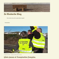 Gilets jaunes et Trumpisation française. – Ze Rhubarbe Blog