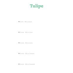 Tulipe