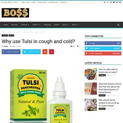 Why use Tulsi in cough and cold? - BosBos: Weekly Top Stories
