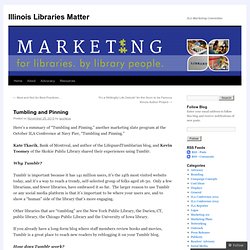 Illinois Libraries Matter