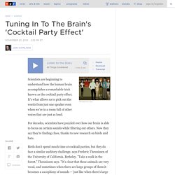 Tuning In To The Brain's 'Cocktail Party Effect'