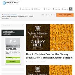 How to Tunisian Crochet the Chunky Mesh Stitch