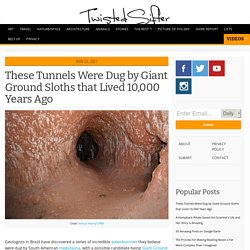 These Tunnels Were Dug by Giant Ground Sloths that Lived 10,000 Years Ago » TwistedSifter