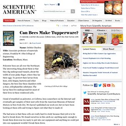 Can Bees Make Tupperware?