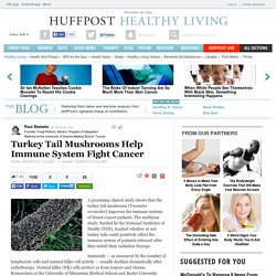 Turkey Tail Mushrooms Help Immune System Fight Cancer 