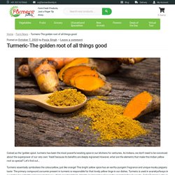 Turmeric-The golden root of all things good – Farmers Family