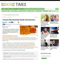 Turmeric May Neutralize Deadly Viral Infections