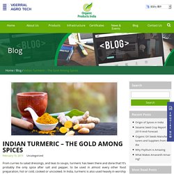 Turmeric - The Gold Among Spices