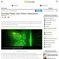 Turning Plants Into Power Generators Trending