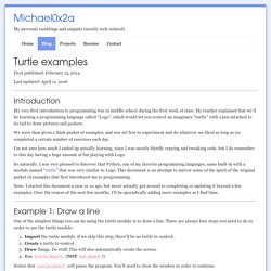 Turtle examples