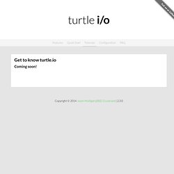 turtle.io
