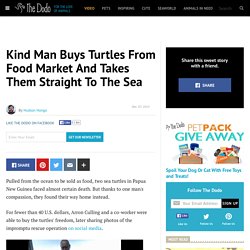 Kind Man Buys Turtles From Food Market And Takes Them Straight To The Sea