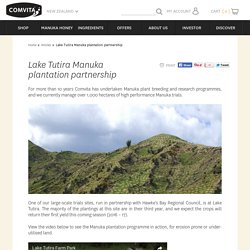 Lake Tutira Manuka plantation partnership