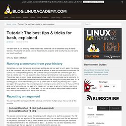 Tutorial: The best tips & tricks for bash, explained