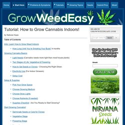 Tutorial: How to Grow Cannabis Indoors!